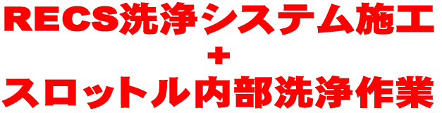 RECS洗浄システム施工+スロットル内部洗浄