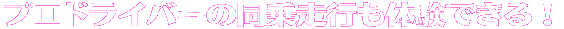 プロドライバーの同乗走行が体験できます