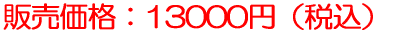 ̔iF13000~iōj